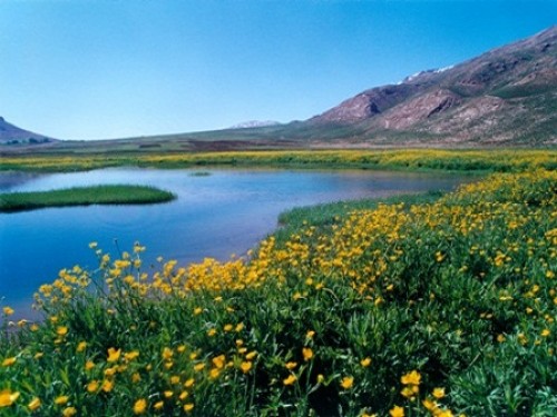 تالاب چغاخور