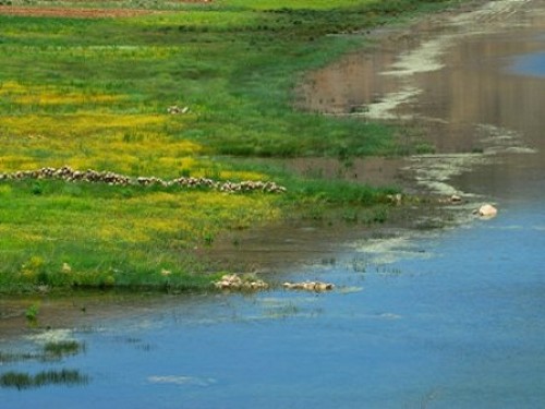 تالاب چغاخور